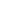flying eagle
