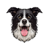 Chien Border Collie