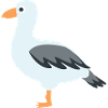 gull