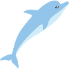 dolphin
