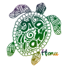 Hawaii turtle