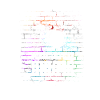 Drums band