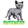 Katzen Überdosis Niedlichkeit