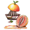 Pamplemousse vulve