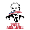 Free Assange Leak