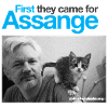 Zuerst kamen sie nach Assange