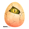 Egg