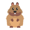 castor