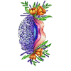 Vulva brain