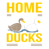 Ducks