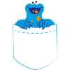 Sesame Street Cookie Monster Eats Cookie