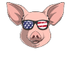 Patriotic Pig Merica American Flag
