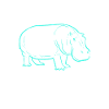 Hippos Hippopotamus Hippopotamus