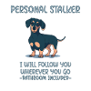 Dachshund Personal Stalker Dachshund