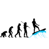 Evolution - Surfing
