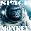 Space monkey
