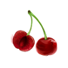 Cherries Pair of cherries