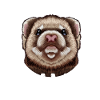 Maman furet