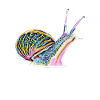 limace