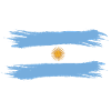 Argentina flag painted