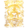 Lion - Gold - Lion's Head - Wild cat