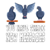 Message pigeons colombophiles colombophiles pigeons voyageurs