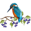 Bunter Vogel