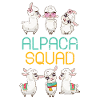 Llama alpaca