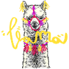 lama