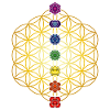 Flower of Life
