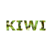 KIWI DESIGN