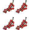 red currant - red currant