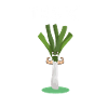 Team Lauch