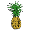 pineapple