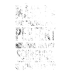 Schreiner