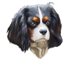 King Cavalier dog