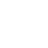 Security Bouncer