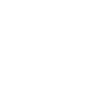 Flying dragonfly