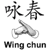The art of wing chun