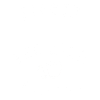 Tequila fiesta