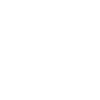 Flock of birds