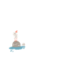 Möwe Moin