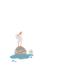 Moin Möwe