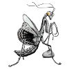 Praying mantis