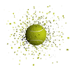 TENNIS BALL