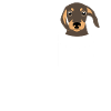 Pocket Dog Dachshund