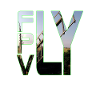 Fly FPV
