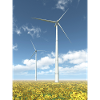 Wind turbines with sunflowers