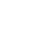 Chimney sweep house cleaner