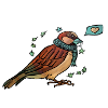 Starsparrow